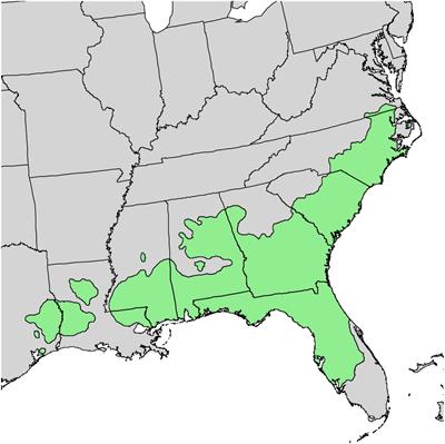 Impacts of Tropical Cyclones on Longleaf Pine Ecosystems of Florida: Tropical Cyclogenesis, Landfall Frequencies, and Climate Change